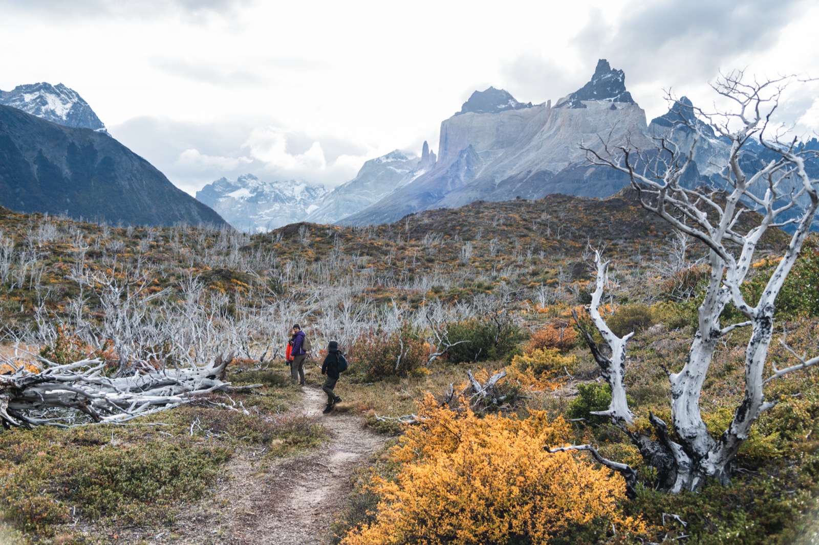 Hikers on a trail in Torres del Paine