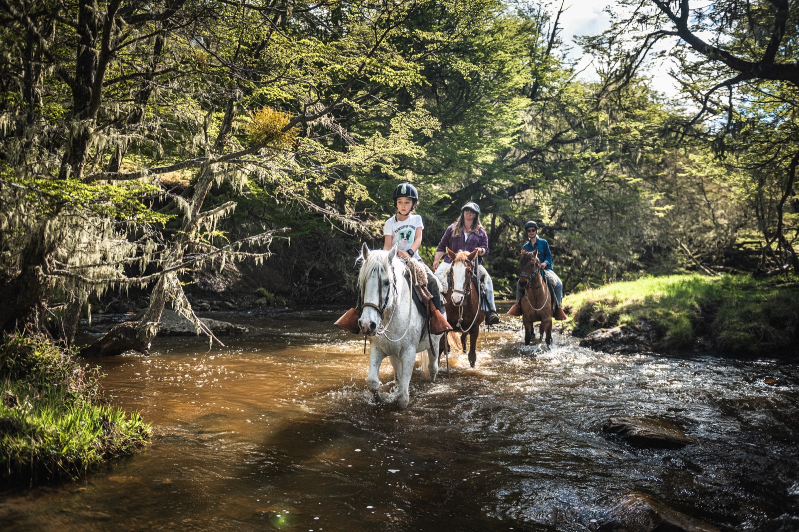 Riders crossing a stream in a native forest