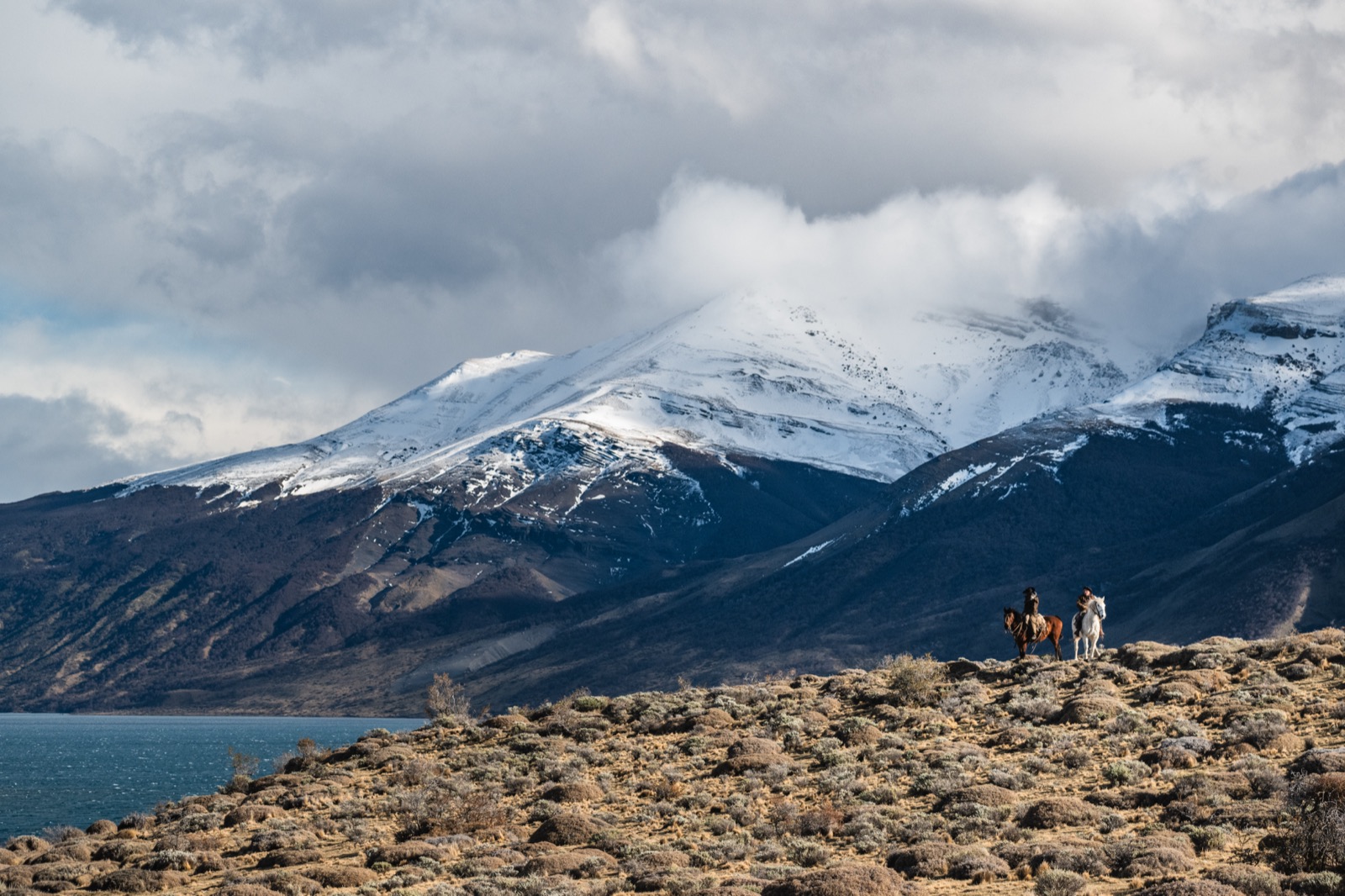 Horses below snowy mountains at an estancia