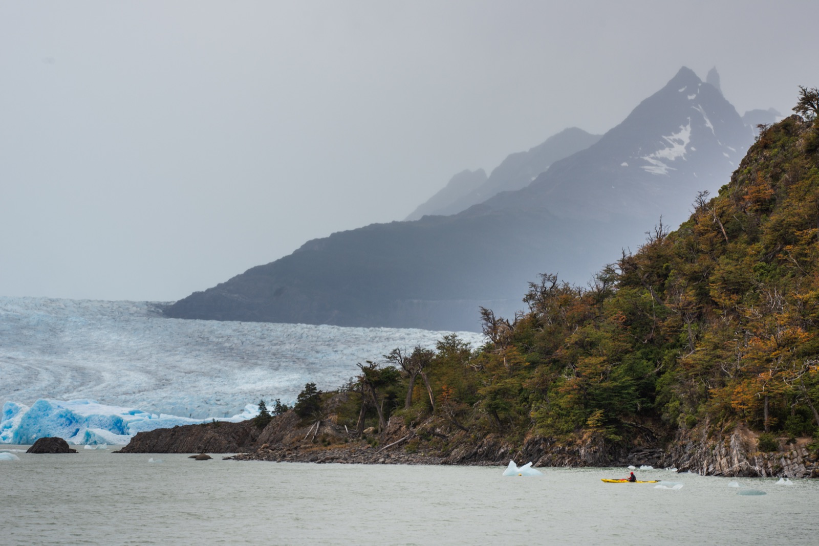 The blue ice wall of Grey Glacier seen from a lookout