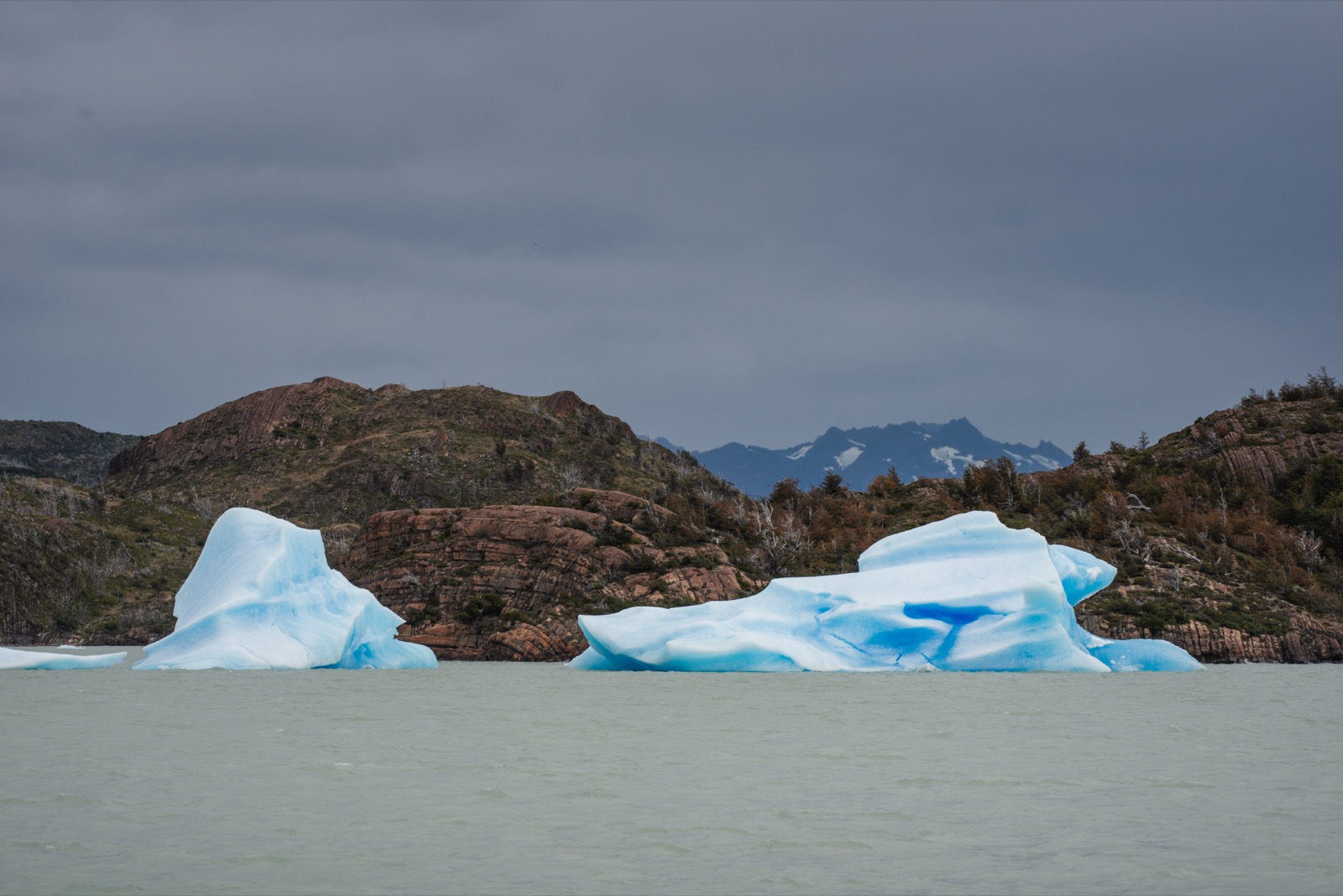 The blue ice wall of Grey Glacier meeting a rocky ridge, seen from the water