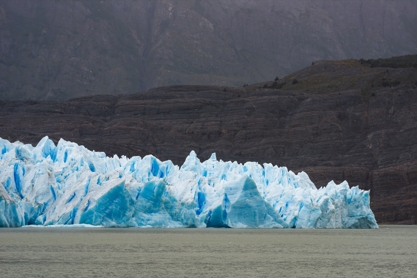 The blue ice wall of Grey Glacier meeting a rocky ridge, seen from the water