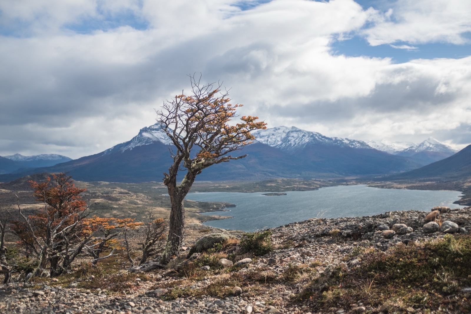 A lone hiker on a cliff edge above the valley and fjord near Puerto Natales